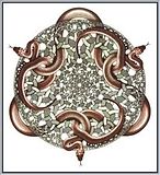 snakes.jpg image by neithete